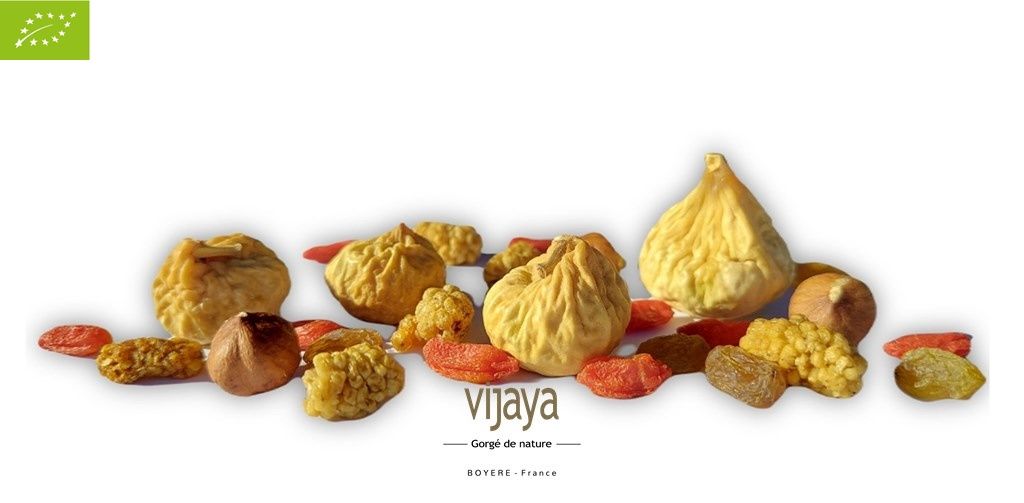 Vijaya
